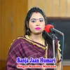 About Banja Jaan Humari Song